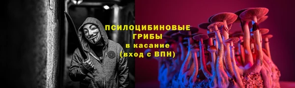 прущие крисы Абаза