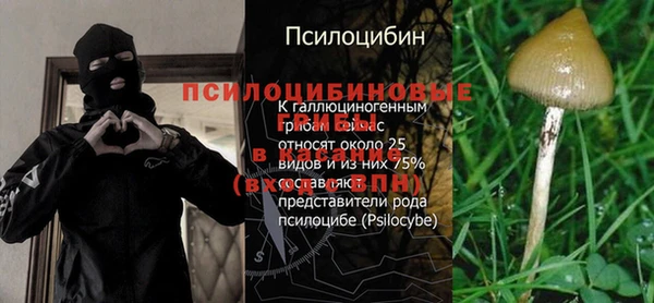 прущие крисы Абаза