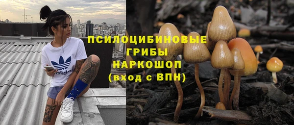 бошки Абдулино